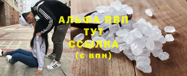 гидра Алексеевка