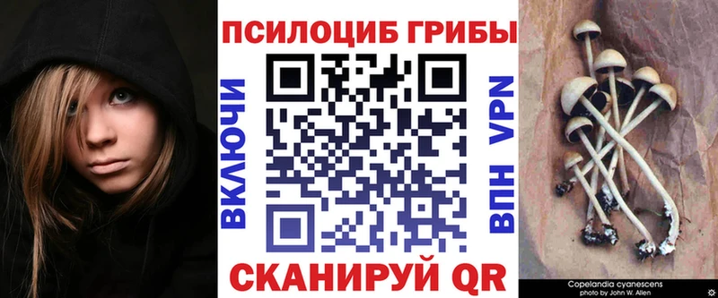 Галлюциногенные грибы GOLDEN TEACHER  купить наркотики цена  Анапа 